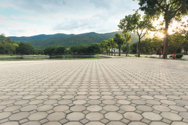 Best Driveway Pavers for Homes  in Solana, FL